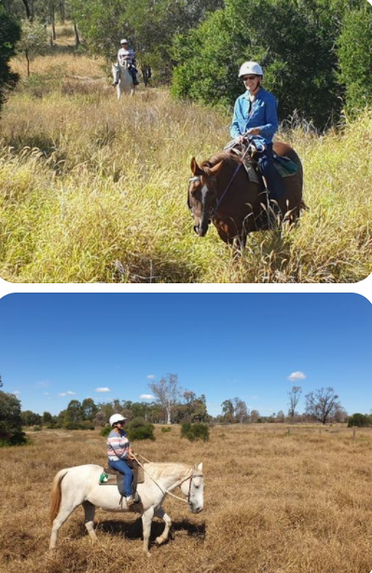 Picture of Chief the grey horse and Rose Robyn the Chestnut.  These are first time riders and doing pretty good.  These two photographs are taken 50 m apart isn't it interesting how different the landscape looks.