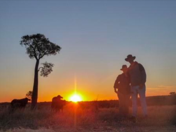 Picture of the sunset point at Myella Farm Stay where educational tours and holidays happen.  This picture has the silhouette of cattle, bottle tree and a couple embracing in cowboys hats. 
