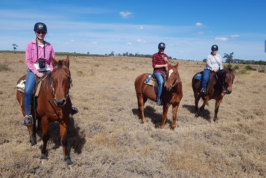 Three beginner riders sitting in their horses out in a wide open field while horse riding at Myella Farm Stay near Rockhampton.