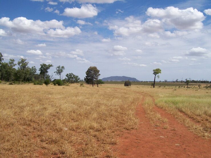 Myella Farm Stay Queensland scene blue sky and red dirt track with Mount Ramsay in background.