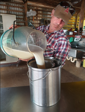 Picture of Carl pouring freshly milked 